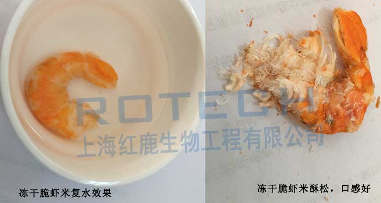 凍干蝦 凍干蝦