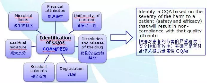 關鍵質量屬性