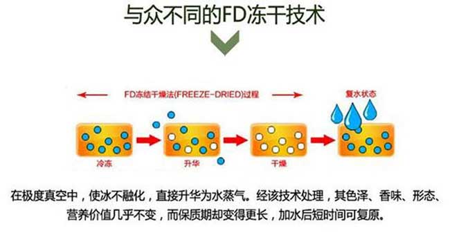 真空凍干技術 真空凍干技術