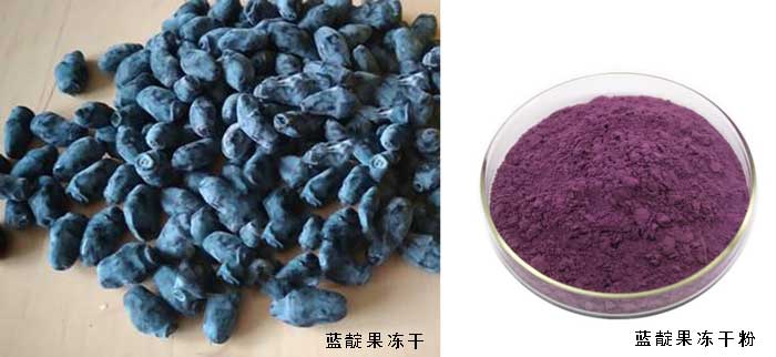 藍靛果凍干
